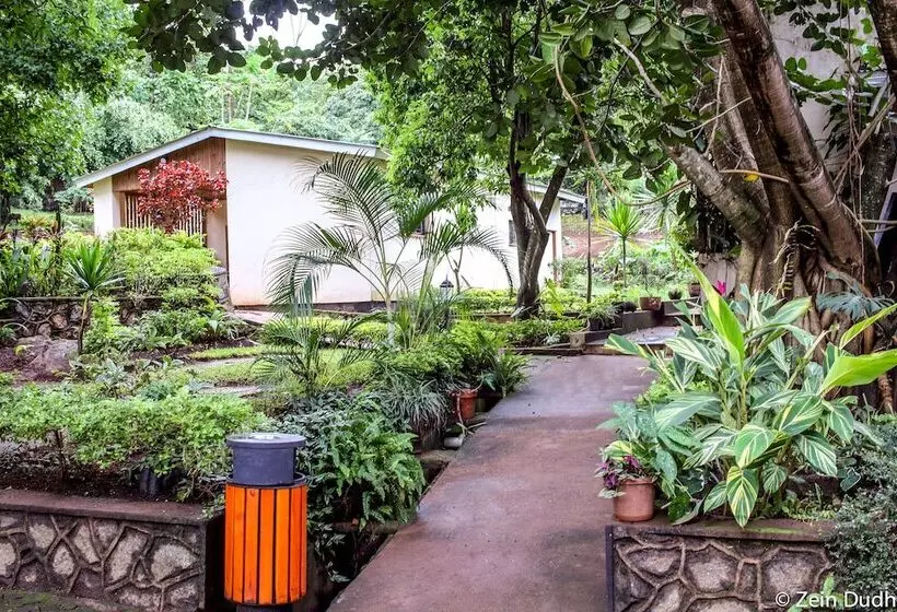 پانسیون Villa 33