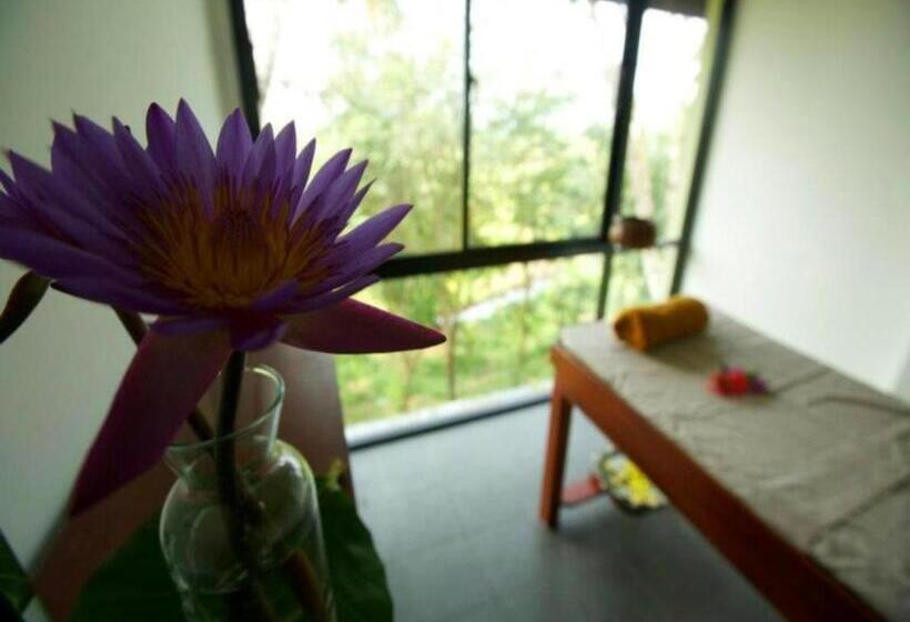 Mangrove Escapes Resort