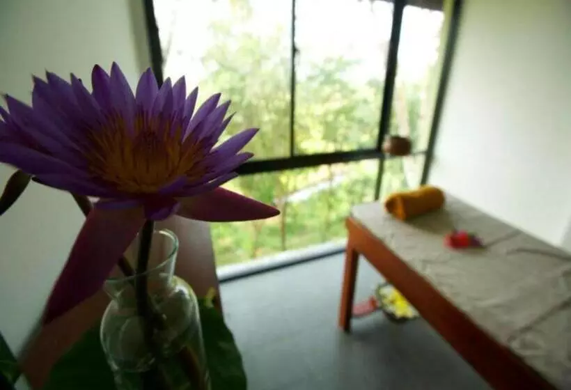 Mangrove Escapes Resort