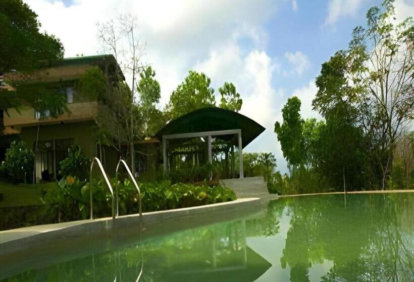 Mangrove Escapes Resort
