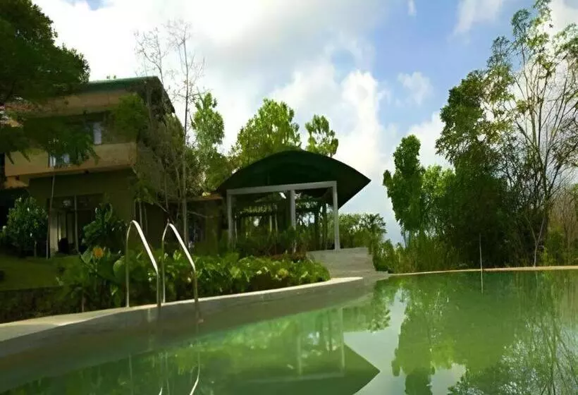 Mangrove Escapes Resort