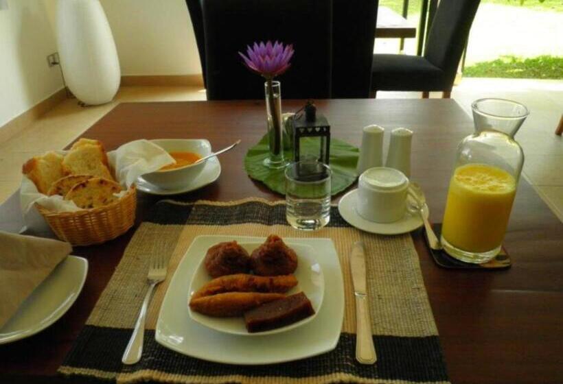 Mangrove Escapes Resort