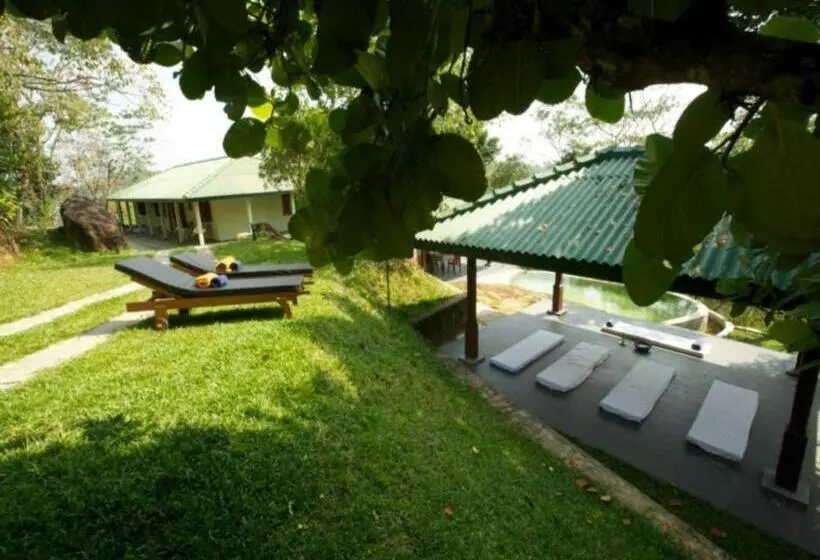 Mangrove Escapes Resort