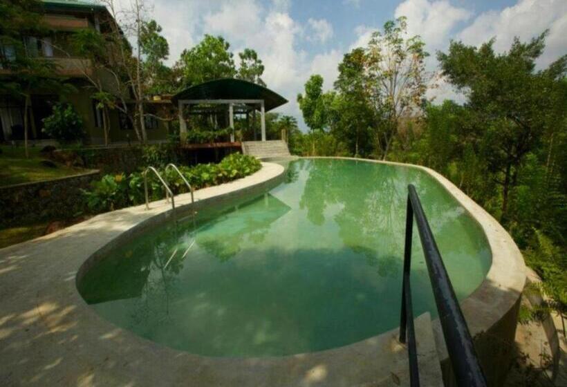 Mangrove Escapes Resort