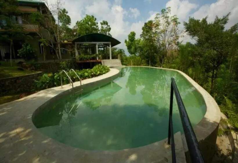 Mangrove Escapes Resort