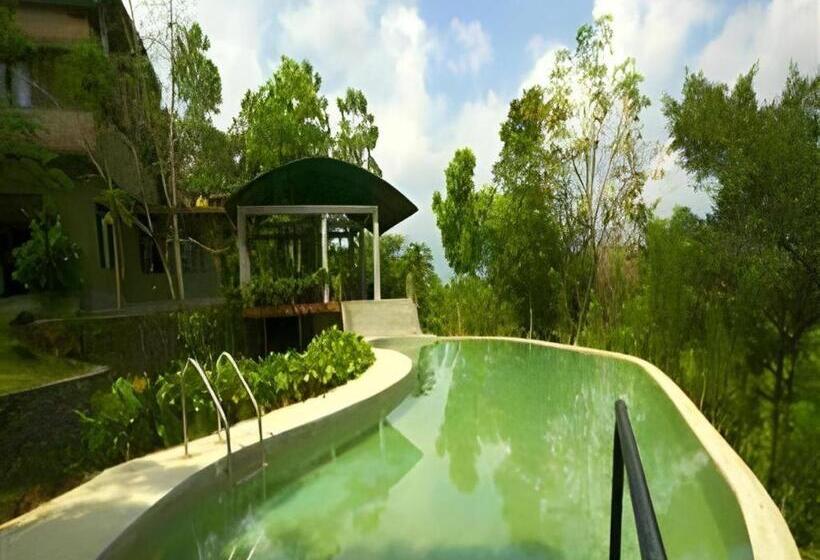 Mangrove Escapes Resort