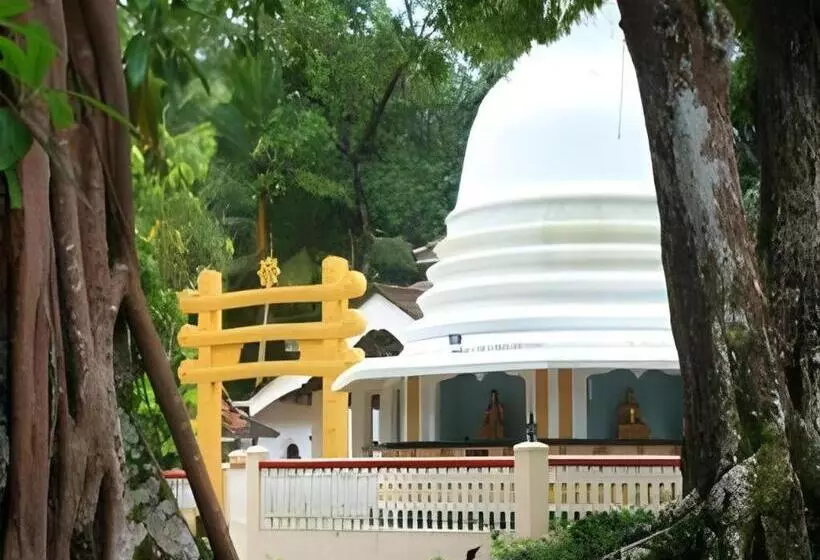 Mangrove Escapes Resort