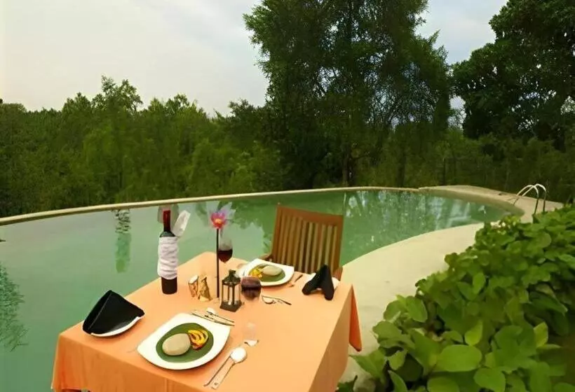 Mangrove Escapes Resort