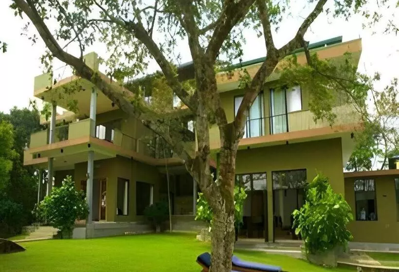 Mangrove Escapes Resort