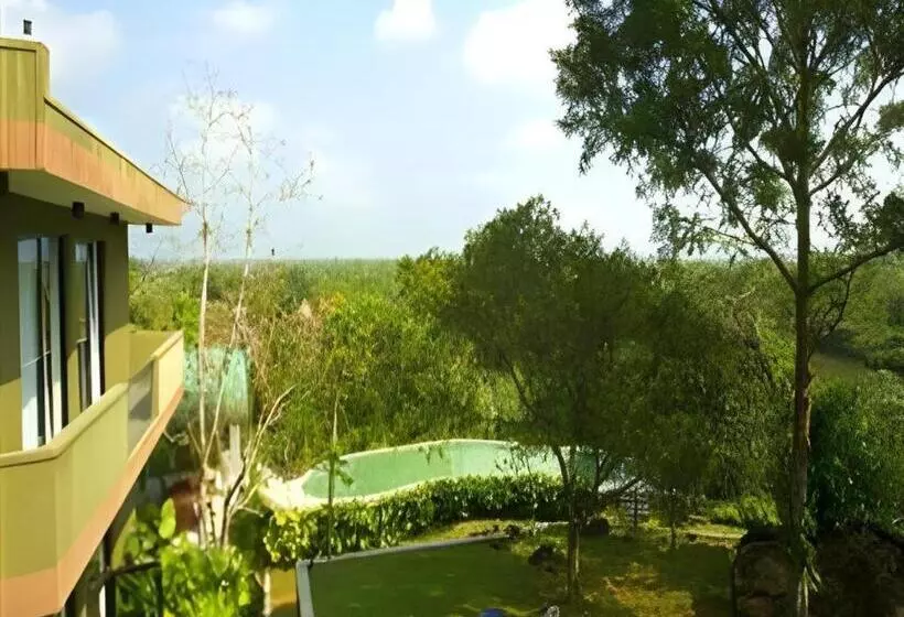 Mangrove Escapes Resort