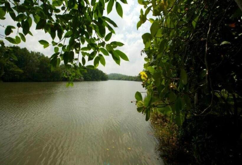 Mangrove Escapes Resort