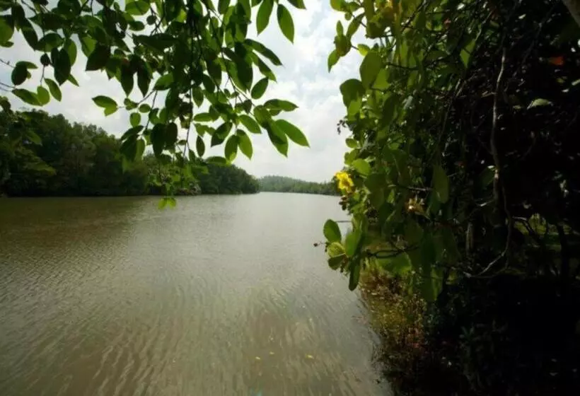 Mangrove Escapes Resort