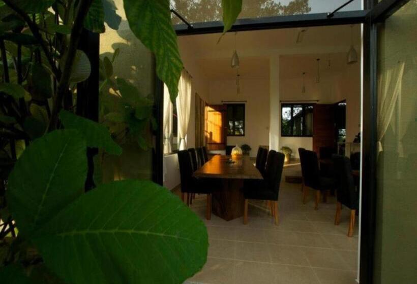 Mangrove Escapes Resort