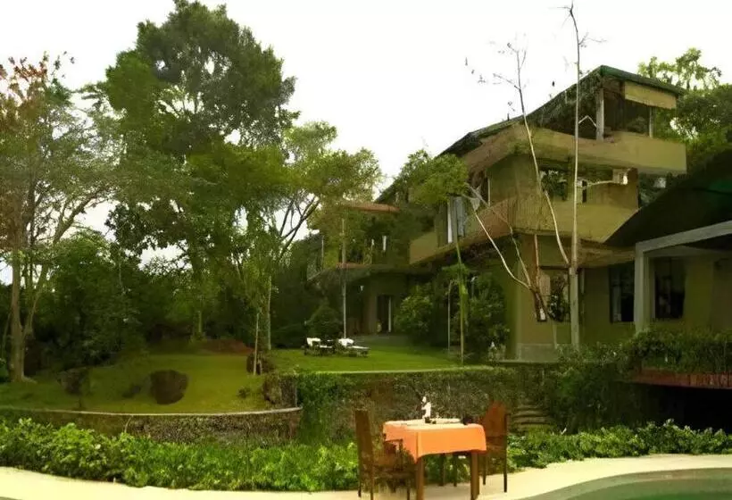 Mangrove Escapes Resort