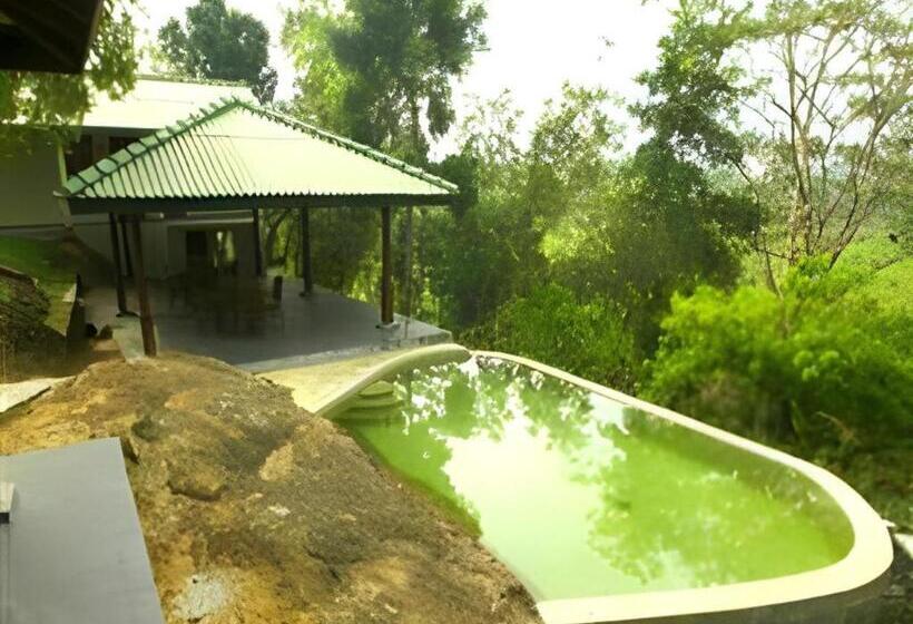 Mangrove Escapes Resort