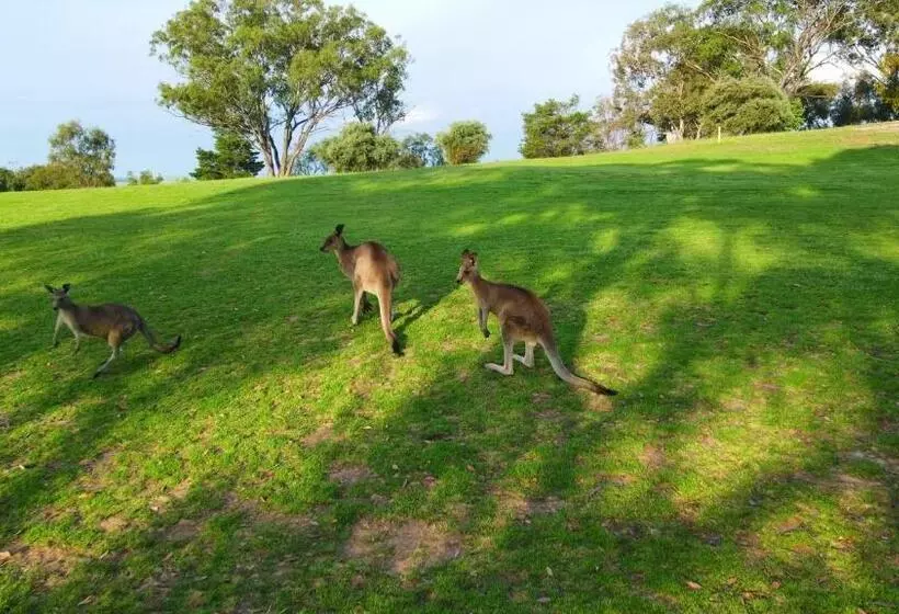 Cootamundra Heritage Motel & Apartments