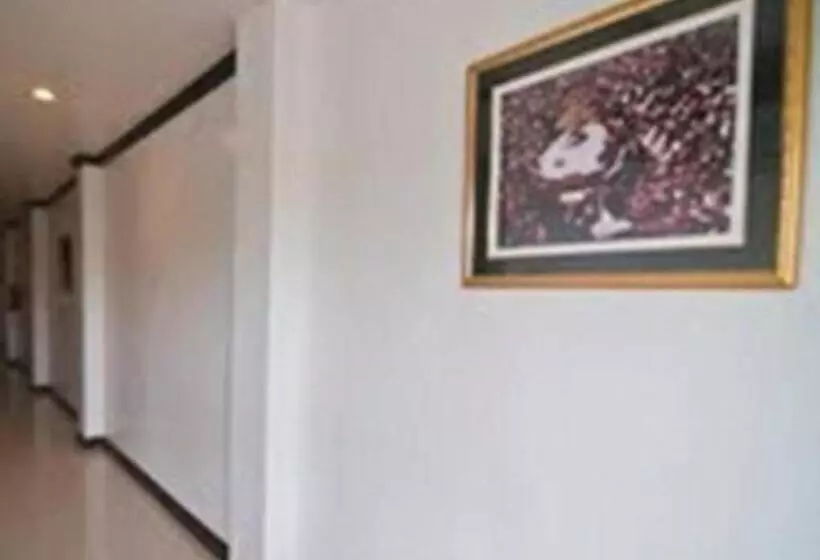 בית מלון כפרי Asog County