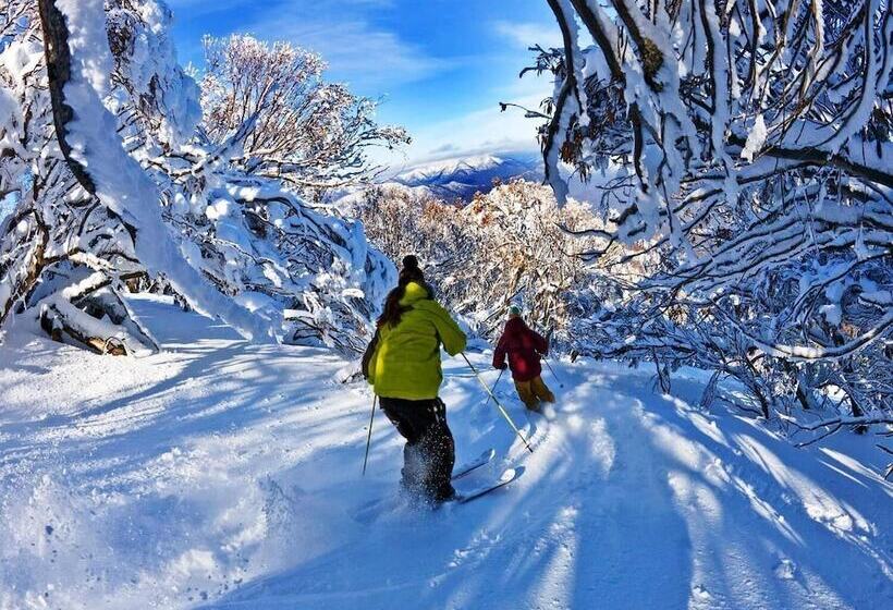 ホテル Buller Central