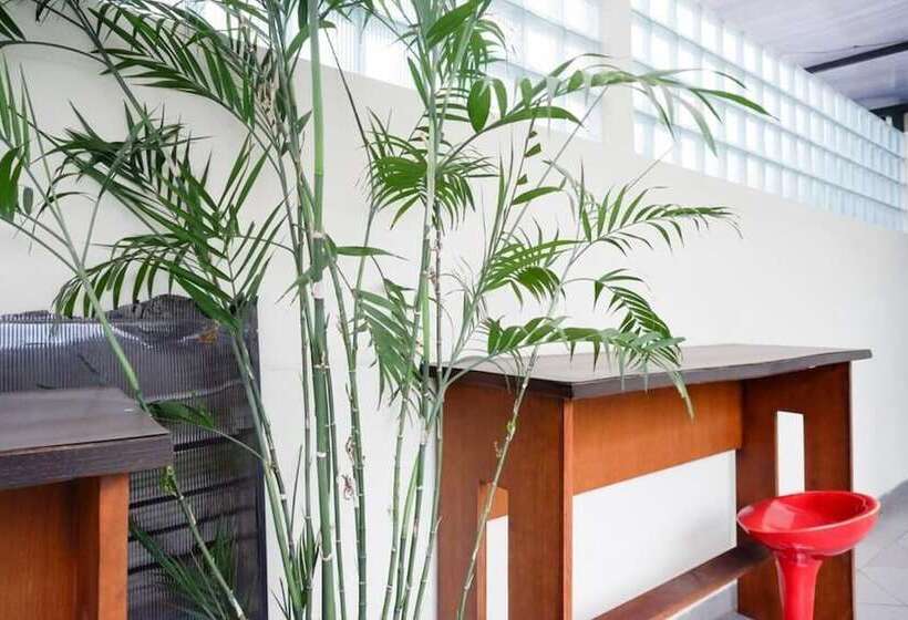 فندق Dinasty Smart