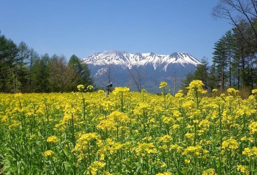 Отель Onyado Tsutaya