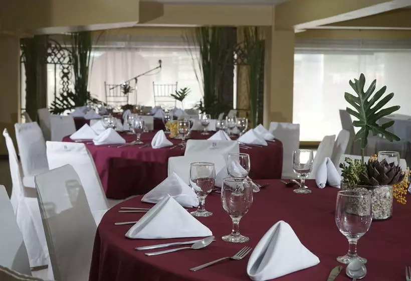 Отель The Contemporary