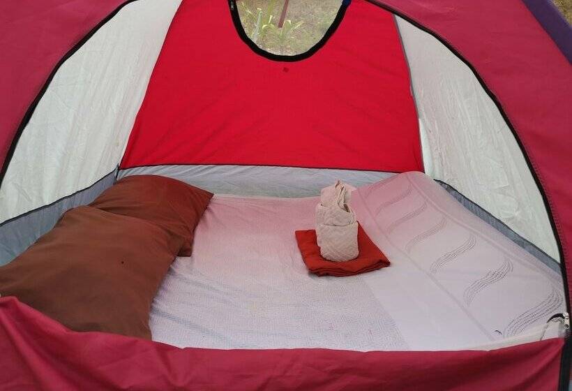 پانسیون Tapik Beach Park Guest House