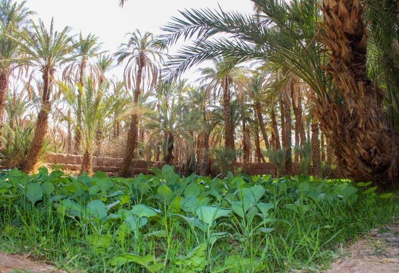 Riad Soleil Du Monde