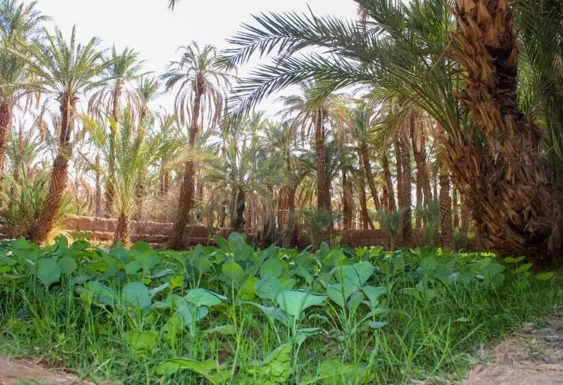 Riad Soleil Du Monde