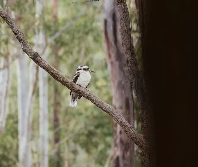 Bay And Bush, Jervis Bay