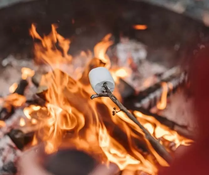 Bay And Bush, Jervis Bay