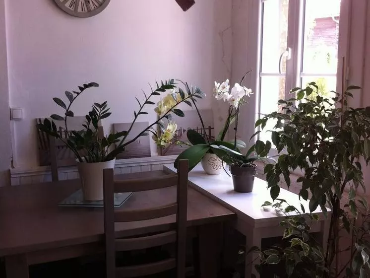 Bed and Breakfast Entre Mer Et Pins