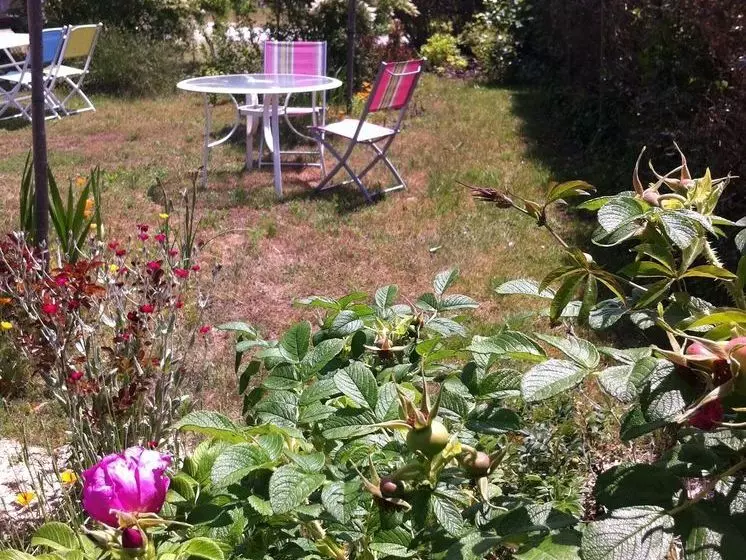 Bed and Breakfast Entre Mer Et Pins