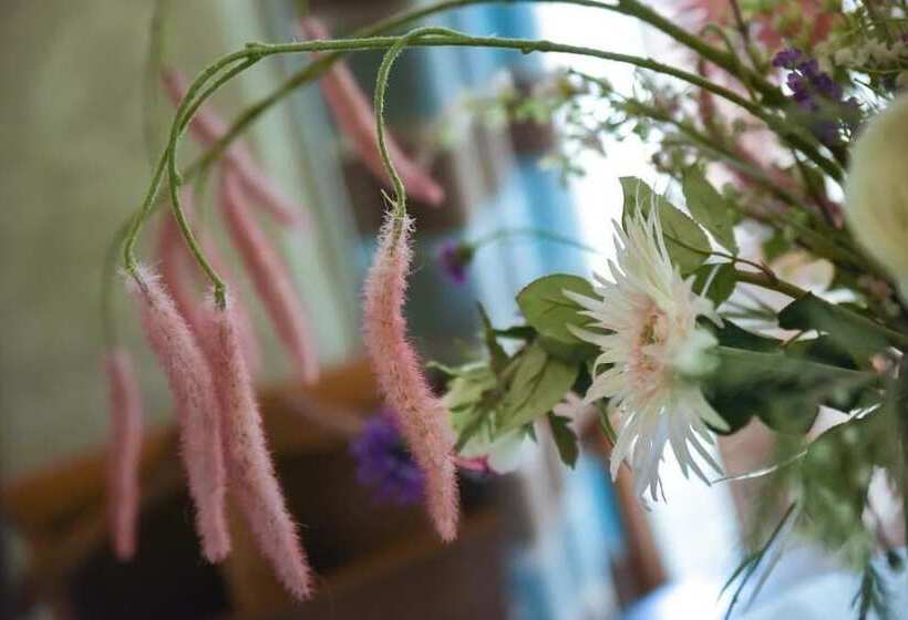 צימר Les Roses De Montherlant