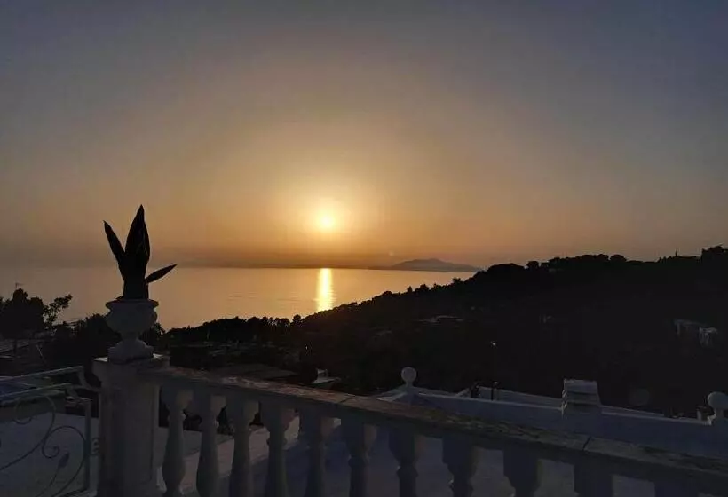 تختخواب و صبحانه Villa Mimosa