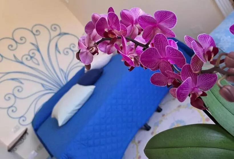 تختخواب و صبحانه Villa Mimosa