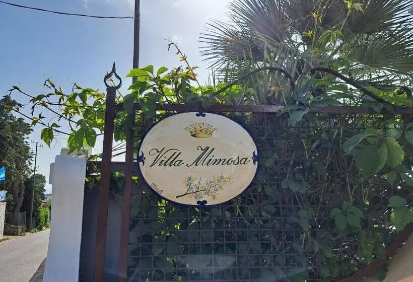 تختخواب و صبحانه Villa Mimosa