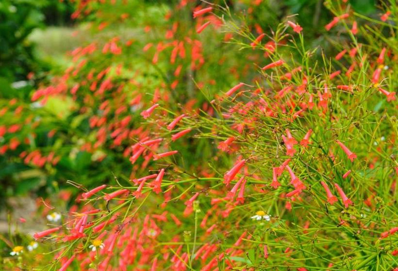 ホテル La Teada Ishigaki Resort