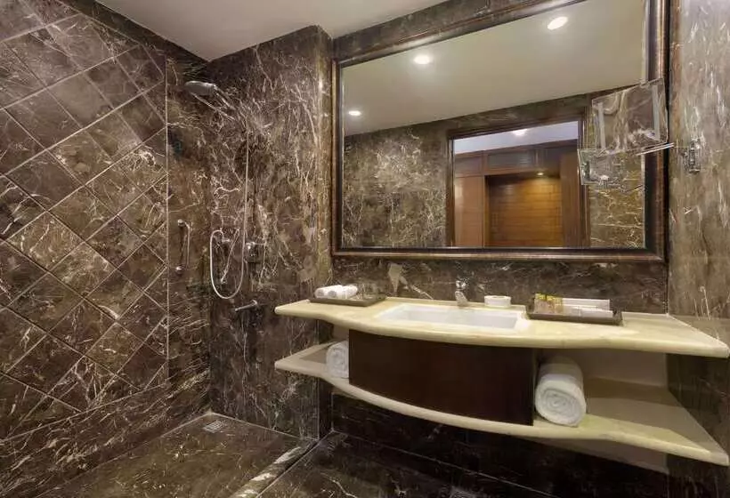 هتل Ramada Plaza By Wyndham Chandigarh Zirakpur