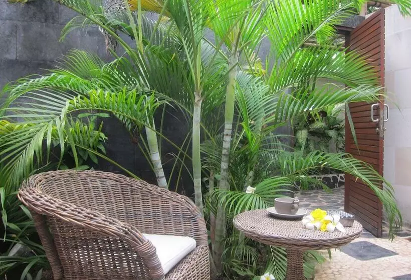 בית מלון כפרי Scallywags Resort