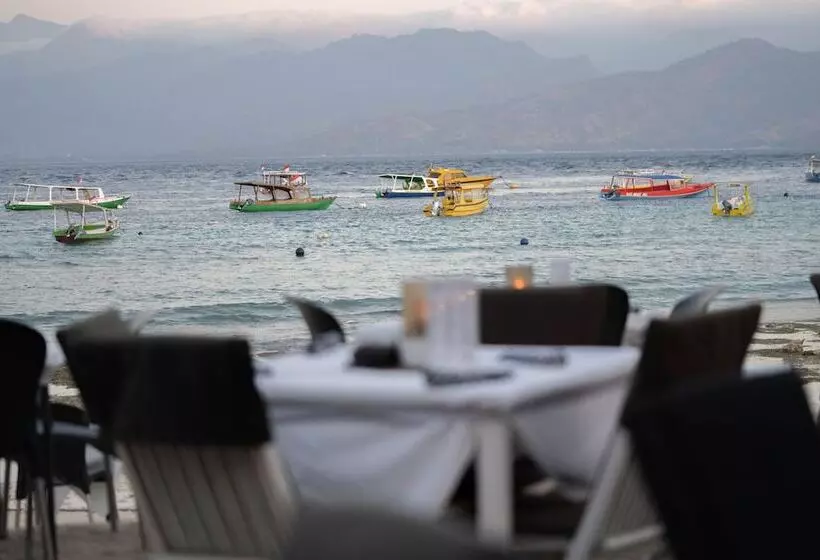 בית מלון כפרי Scallywags Resort