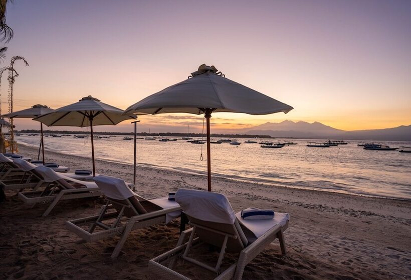 ホテル Scallywags Resort