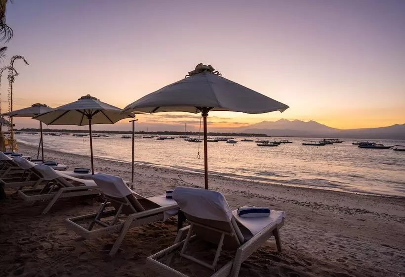 בית מלון כפרי Scallywags Resort