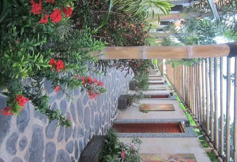 בית מלון כפרי Scallywags Resort