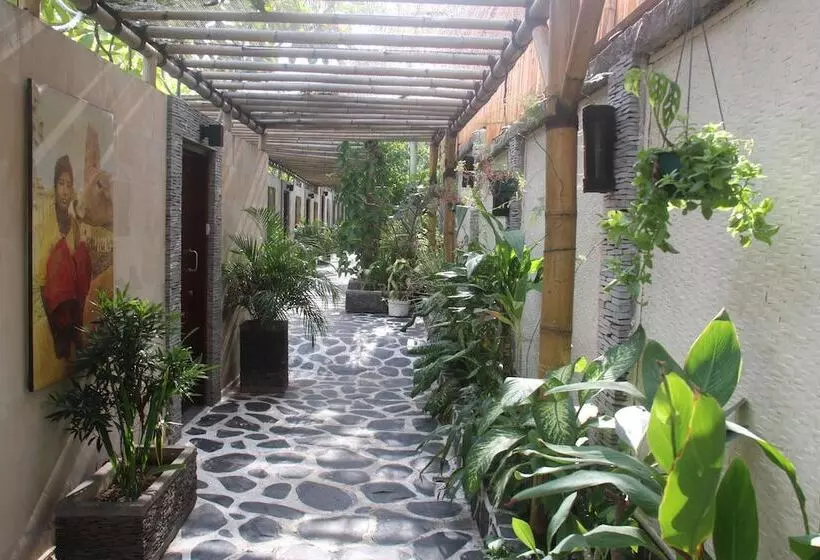 בית מלון כפרי Scallywags Resort