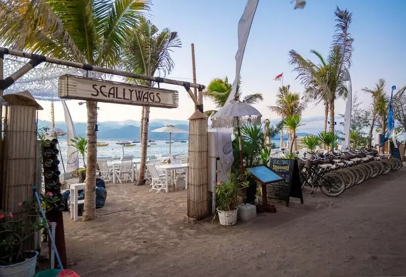 בית מלון כפרי Scallywags Resort