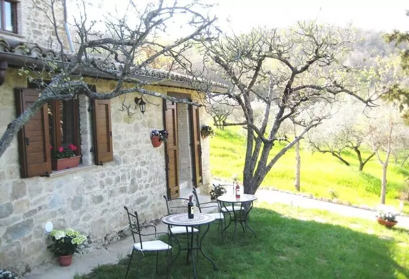 ホテル Villa Colle Di Rocco