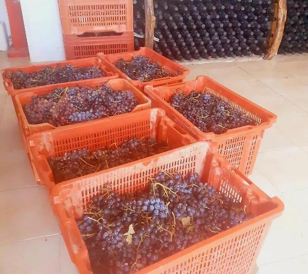 膳宿费 Agriturismo Fuoco D Amalfi Villa Iazzetta