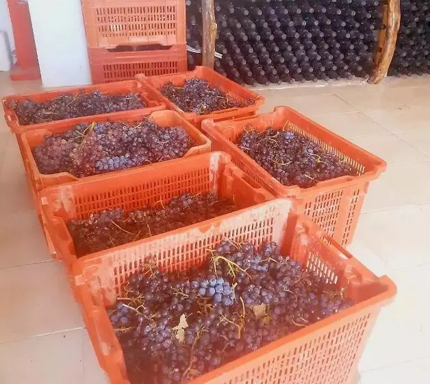 Пансион Agriturismo Fuoco D Amalfi Villa Iazzetta