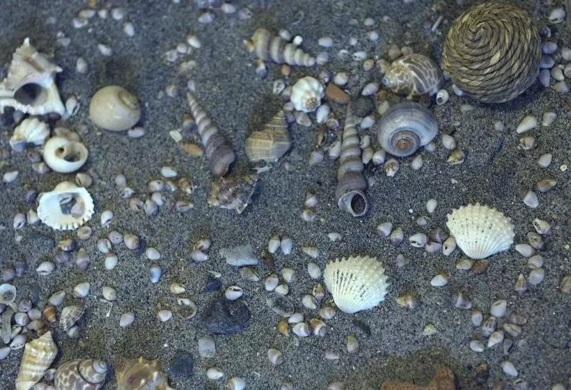 פנסיון Almyris