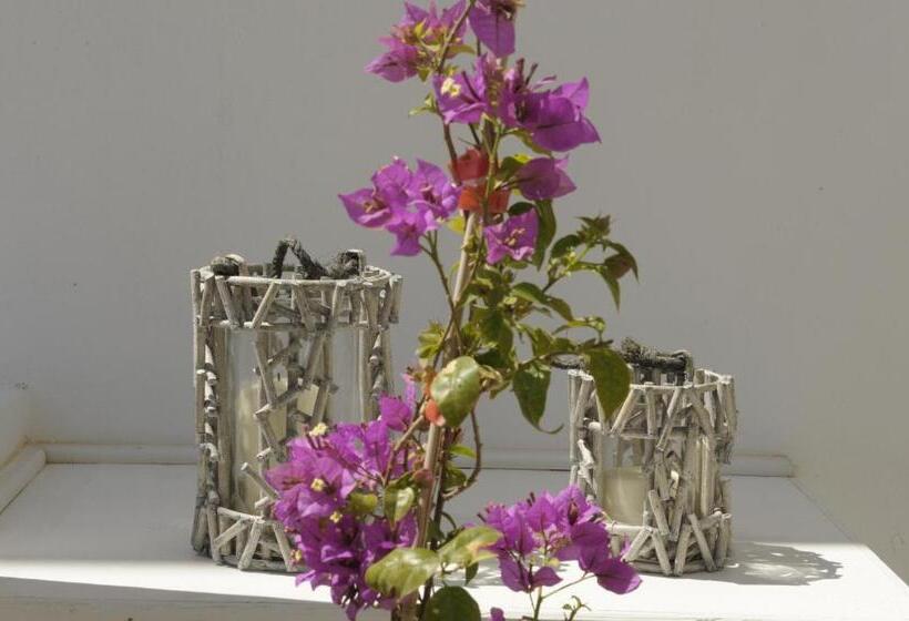 بنسيون Almyris